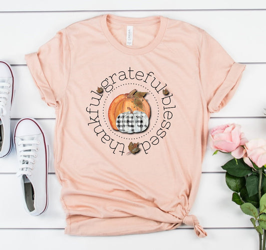 Thankful Grateful Blessed Pumpkin Fall Autumn Novelty T-Shirt