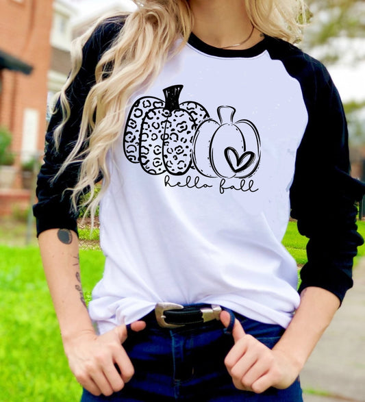 Hello Fall Double Pumpkin Autumn Hay Ride Orchard t-shirt Raglan shirt Novelty Graphic Tee T-Shirt Raglan