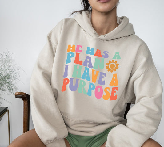 He Has A Plan I Have A Purpose Christian Long Sleeve Hooded Sweatshirt Hoodie Shirt Sweater