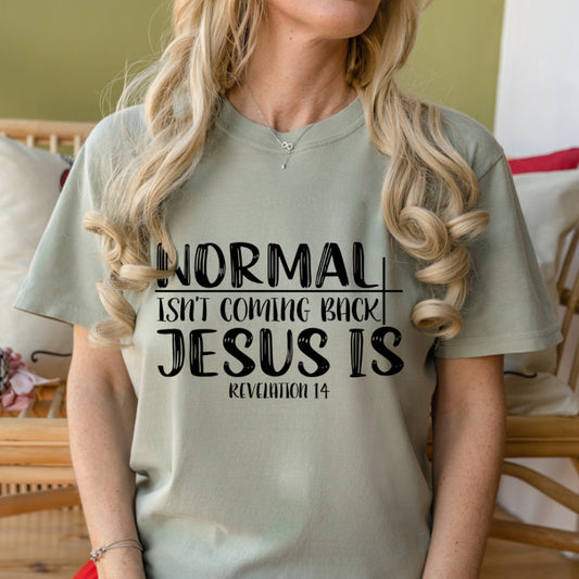 Normal Isn't Coming Back Jesus Is Christian T-Shirt