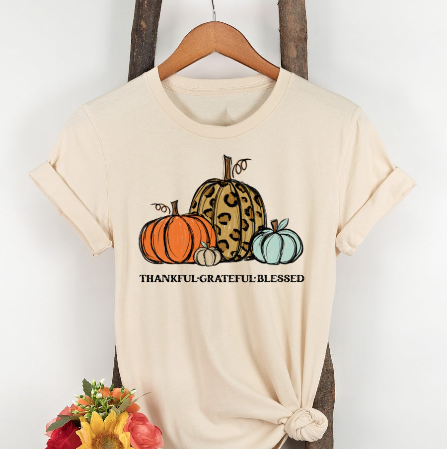 Thankful Grateful Blessed Leopard Print Pumpkins T-shirt