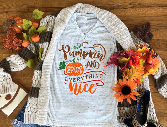 Pumpkin Spice and Everything Nice Fall Autumn Bella Unisex V Neck T-Shirt