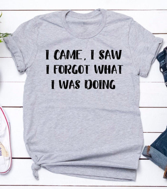 I Came I Saw I Forgot Funny Shirt Humorous Tee Unisex Bella Novelty T-Shirt